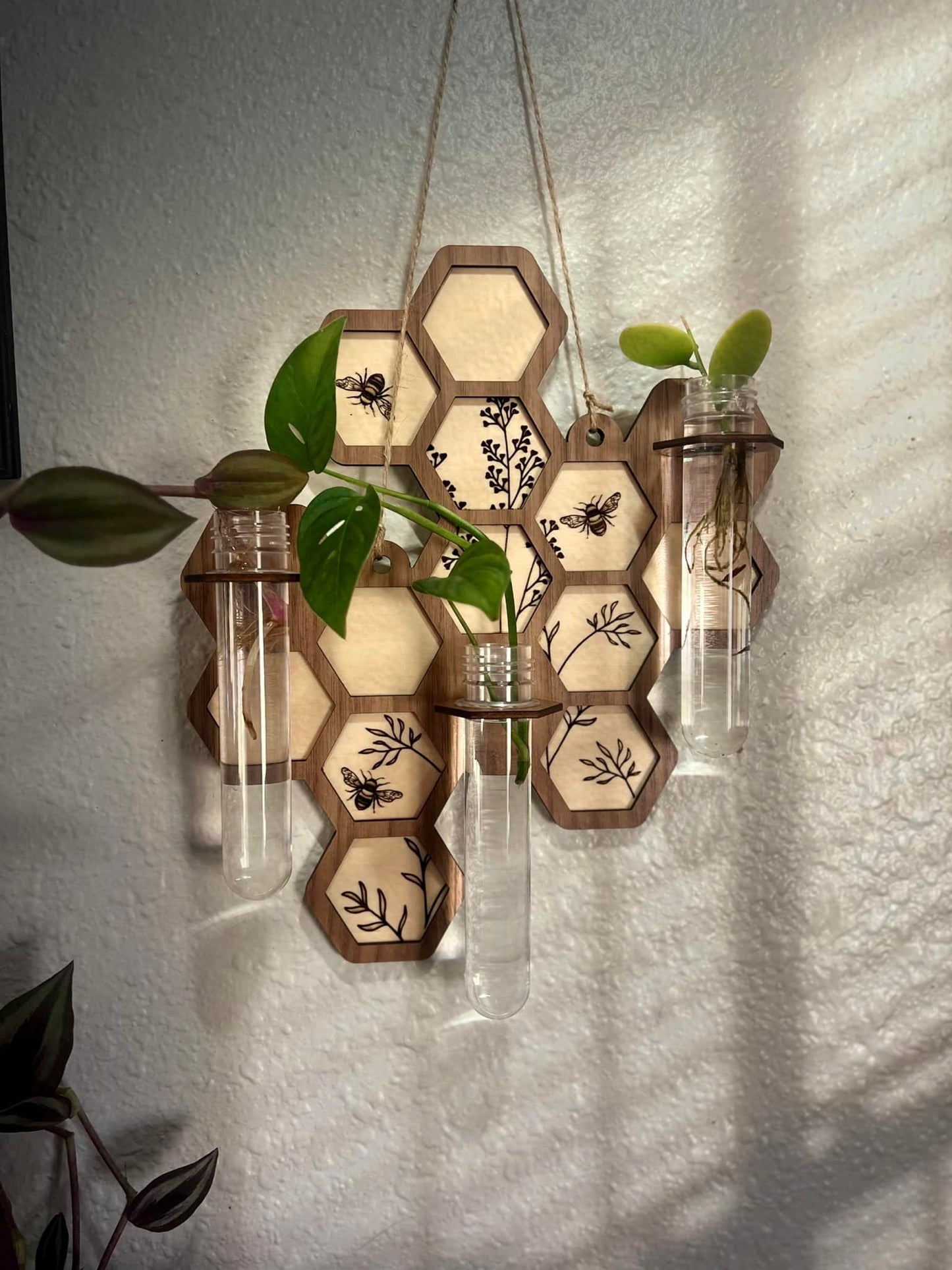 Beehive wooden propagation station