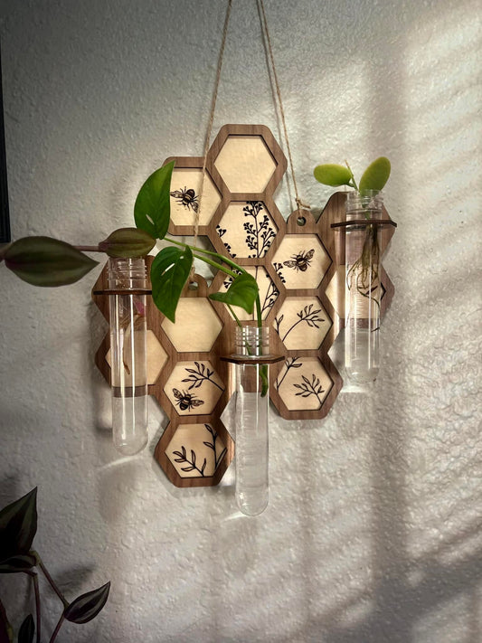Beehive wooden propagation station